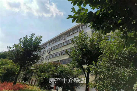 佛山中学附近港基文化园西区2室2厅1卫带储藏室
